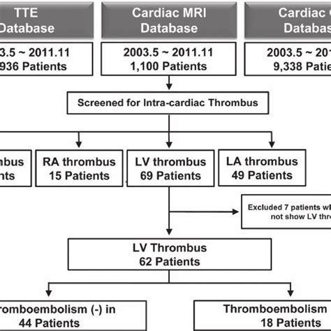 apixaban lv thrombus